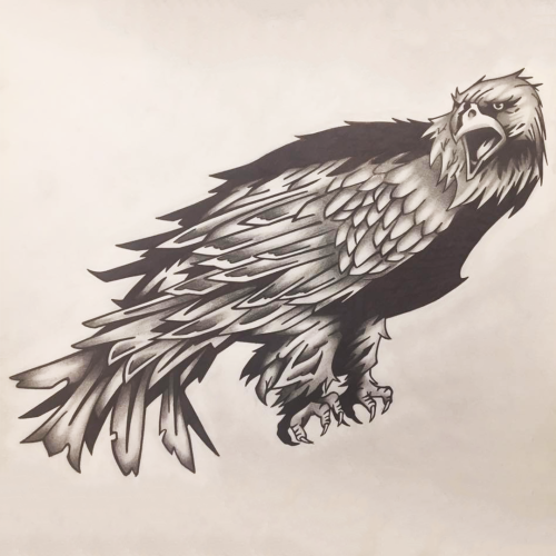 Eagle 1a