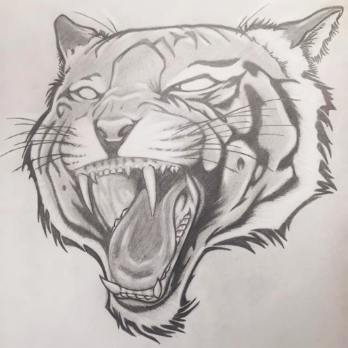 Tiger Rage 1a